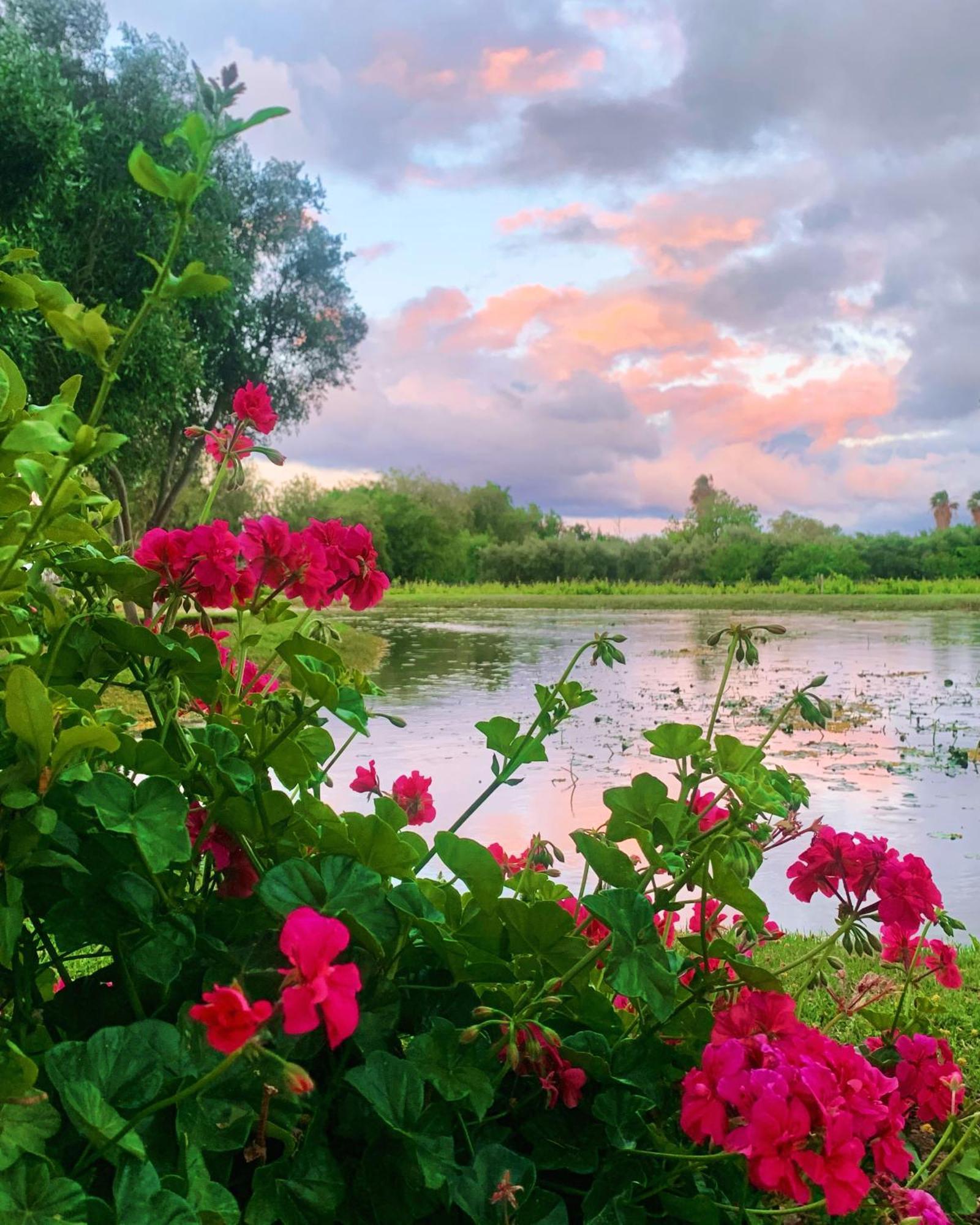 Vergeet-My-Niet พรินซ์อัลเบิร์ต ภายนอก รูปภาพ